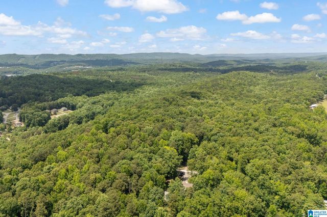 65 RIDGECREST LANE, Trussville, AL 35173