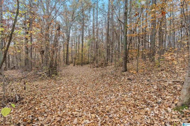 65 RIDGECREST LANE, Trussville, AL 35173