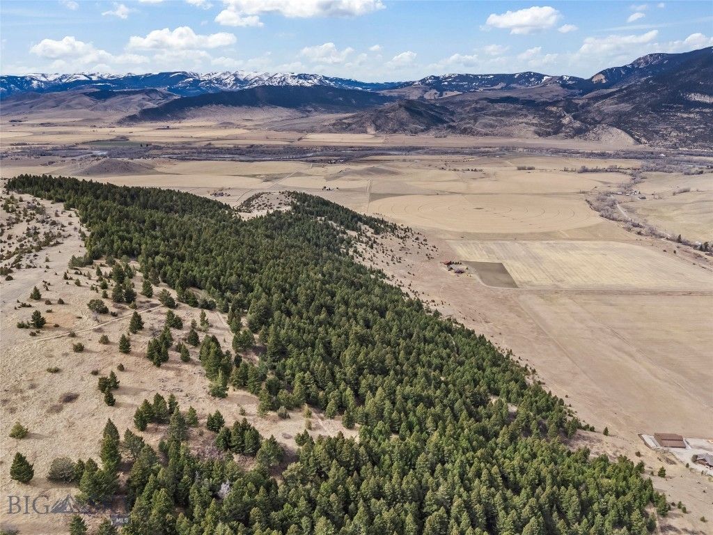 NHN (Parcel A-2) Suce Creek Road, Livingston, MT 59047 photo 39