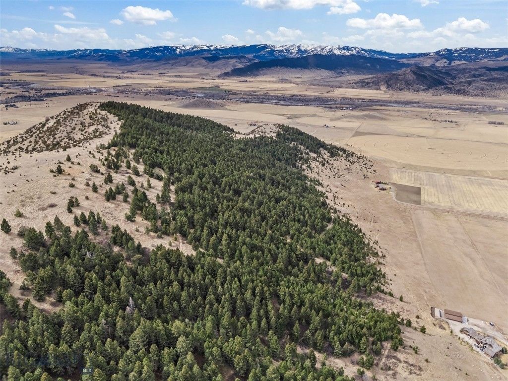 NHN (Parcel A-2) Suce Creek Road, Livingston, MT 59047 photo 40
