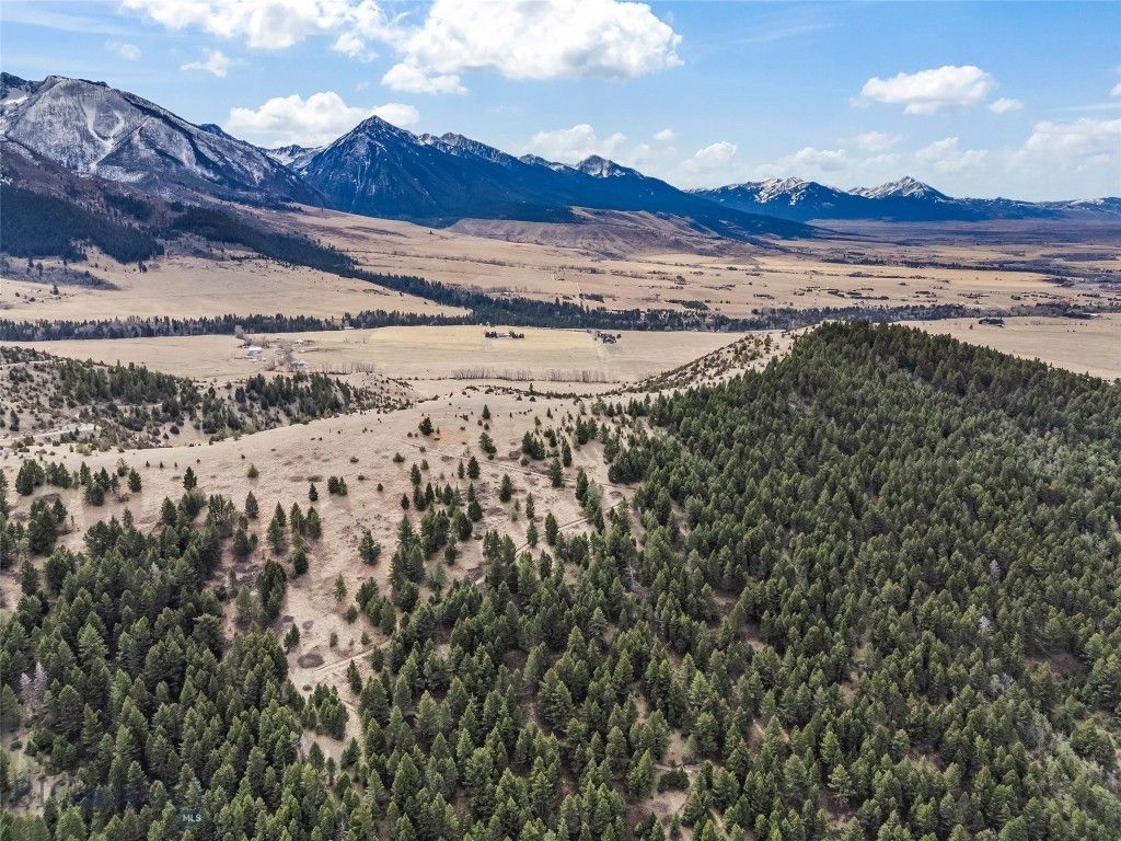 NHN (Parcel A-2) Suce Creek Road, Livingston, MT 59047 photo 42