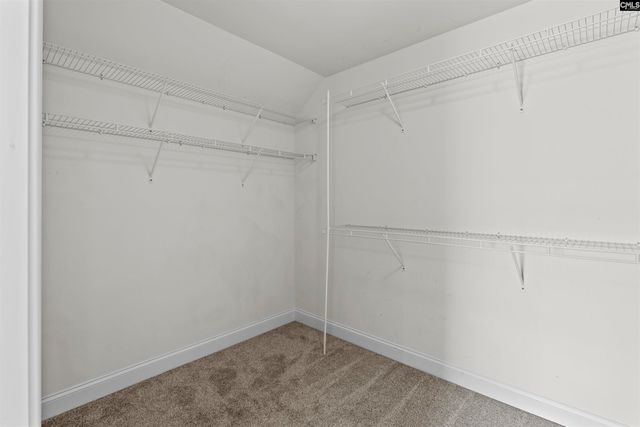 557 Briar Jump Lane, Blythewood, SC 29016