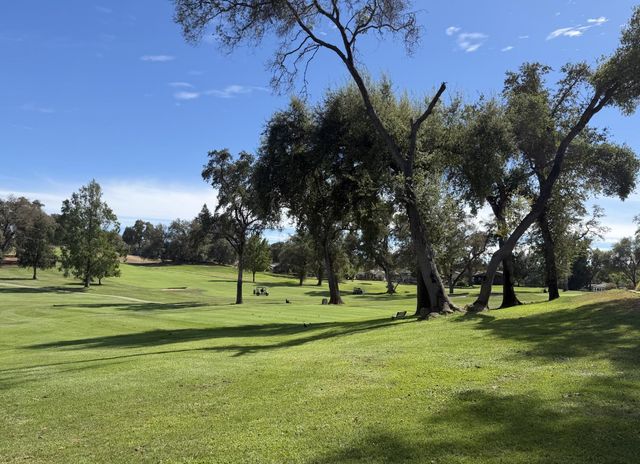13284 Thistle Loop, Penn Valley, CA 95946