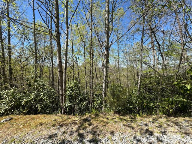 33 Reserve Road 33, Pisgah Forest, NC 28768