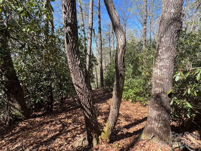 33 Reserve Road 33, Pisgah Forest, NC 28768