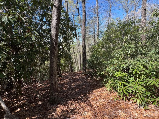 33 Reserve Road 33, Pisgah Forest, NC 28768