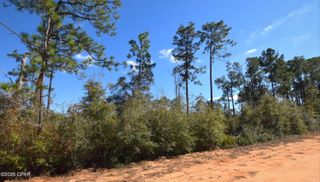 XXX Fairborn Avenue, Alford, FL 32420