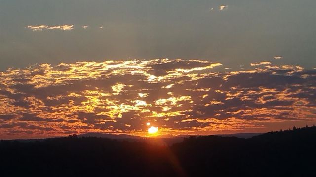 13080 Twin Pines Rd, Sutter Creek, CA 95685