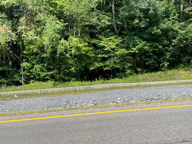 Tbd Beech Springs Road, Jonesville, VA 24263