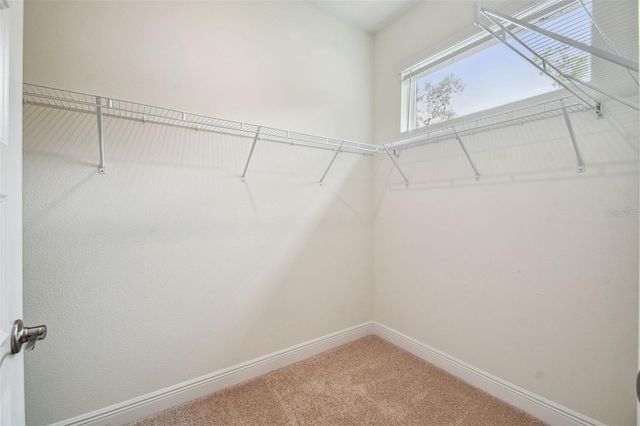 11347 STRIPED BASS COURT, New Port Richey, FL 34654