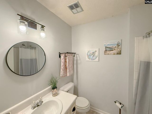212 Maple Tree Court, Lexington, SC 29073