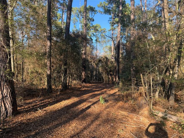 00006 Deer Ridge Road Road, Bedias, TX 77831