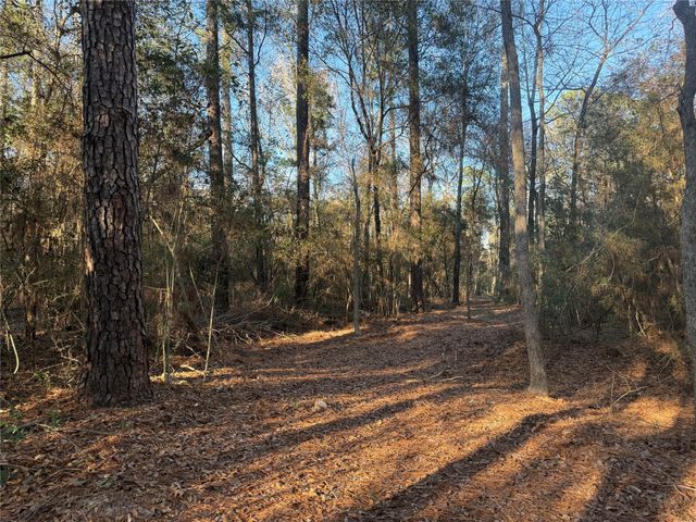 00006 Deer Ridge Road Road, Bedias, TX 77831