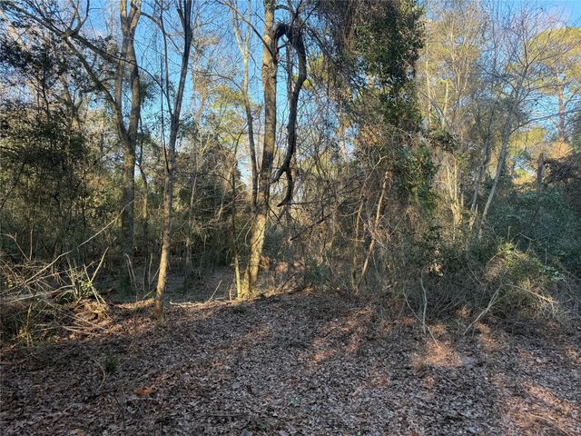 00006 Deer Ridge Road Road, Bedias, TX 77831