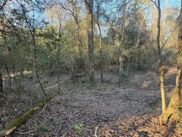 00006 Deer Ridge Road Road, Bedias, TX 77831