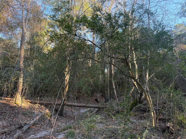 00006 Deer Ridge Road Road, Bedias, TX 77831