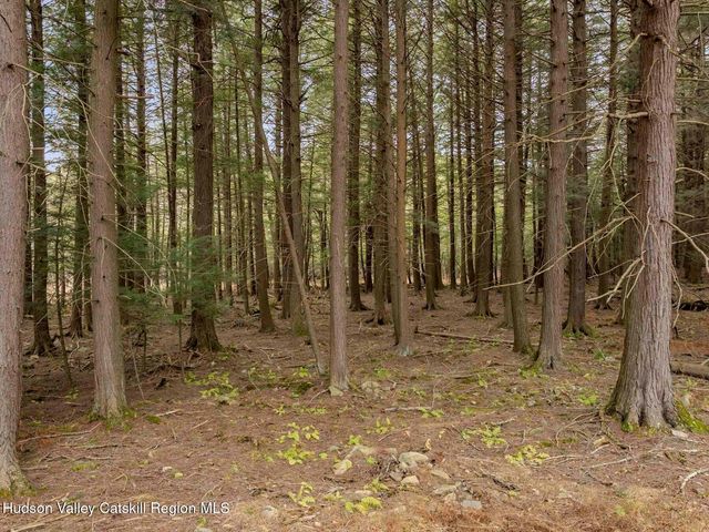 215 Siam Road, Windham, NY 12496