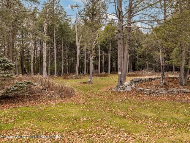 215 Siam Road, Windham, NY 12496