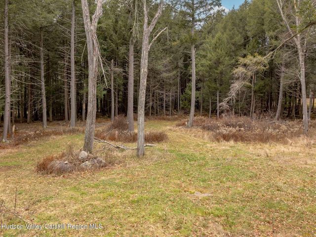 215 Siam Road, Windham, NY 12496