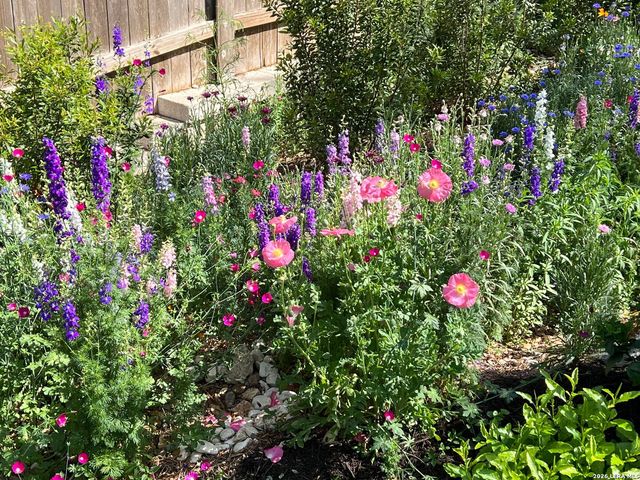 515 Stonewood, San Antonio, TX 78216