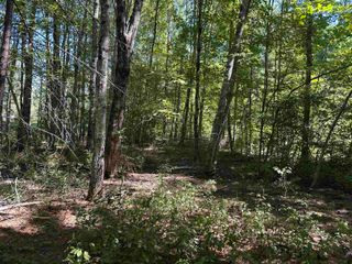 12 Baxter Place, Alton, NH 03809