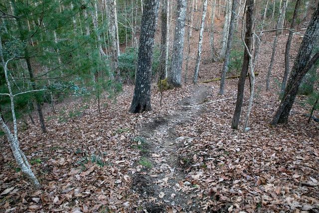 116 Wahuhu Court, Brevard, NC 28712