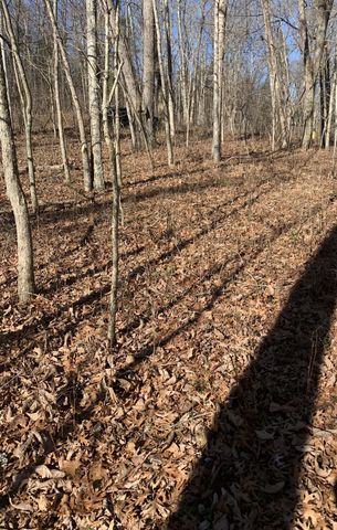 0 Pond Drive, Gallatin, TN 37066