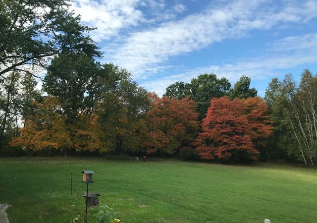 7208 W Dickerson Lake Road, Pine Twp, MI 48838