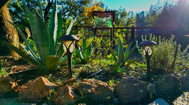 2566 Westville Trl, Cool, CA 95614