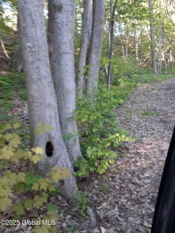 L 30.2 State Route 168, Stark, NY 13339