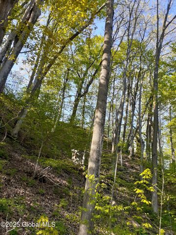 L 30.2 State Route 168, Stark, NY 13339