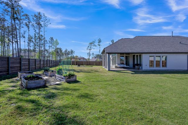 17801 Parnassum Path, Conroe, TX 77302