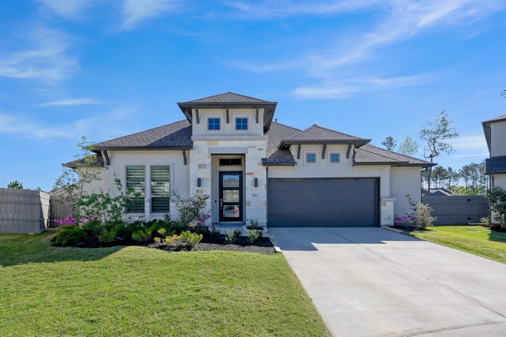 17801 Parnassum Path, Conroe, TX 77302