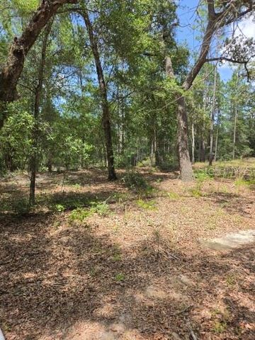 8355 N ORTON WAY, Dunnellon, FL 34434
