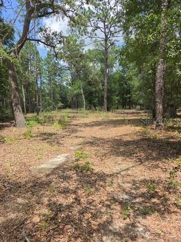 8355 N ORTON WAY, Dunnellon, FL 34434