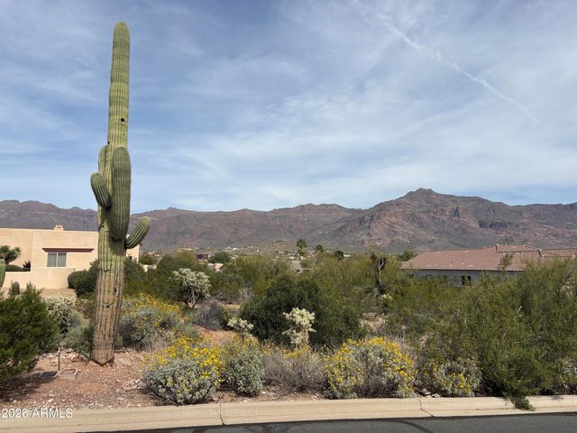 4553 S STRIKE IT RICH Drive 40, Gold Canyon, AZ 85118