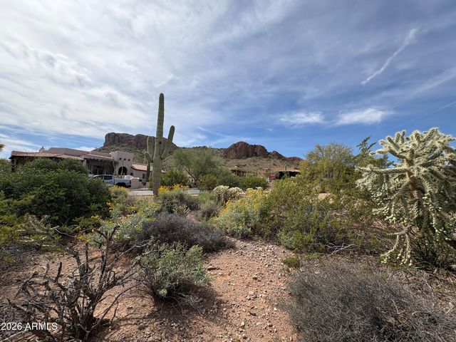 4553 S STRIKE IT RICH Drive 40, Gold Canyon, AZ 85118