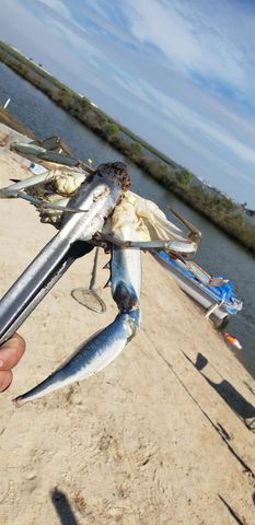 00 Bayou Lane, Freddiesville, TX 77563