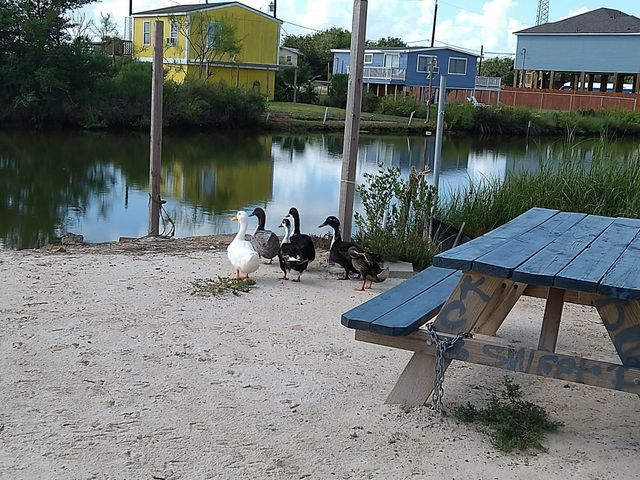 00 Bayou Lane, Freddiesville, TX 77563