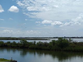 00 Bayou Lane, Freddiesville, TX 77563