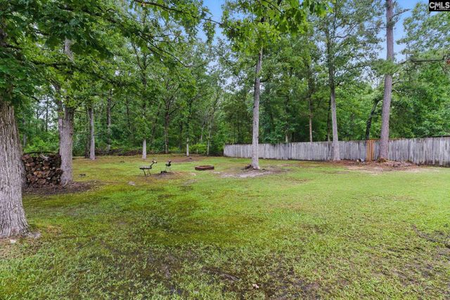 417 Northshore Court, Chapin, SC 29036