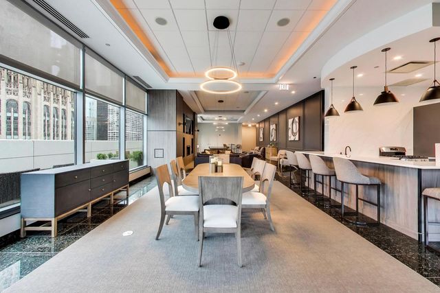 160 E Illinois Street 2207, Chicago, IL 60611
