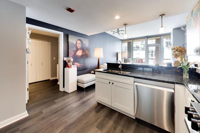 160 E Illinois Street 2207, Chicago, IL 60611