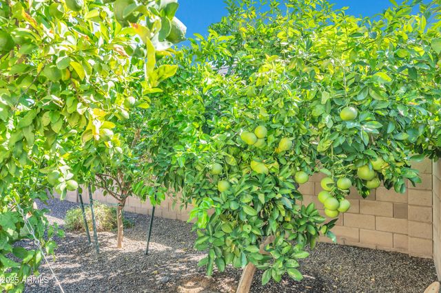 9364 W CASHMAN Drive, Peoria, AZ 85383