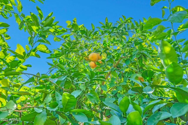 9364 W CASHMAN Drive, Peoria, AZ 85383