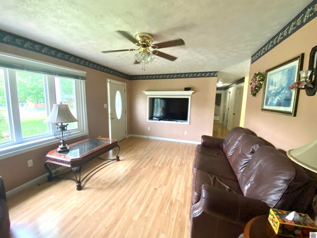 156 Heather Ln, Ledbetter, KY 42058