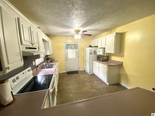 156 Heather Ln, Ledbetter, KY 42058
