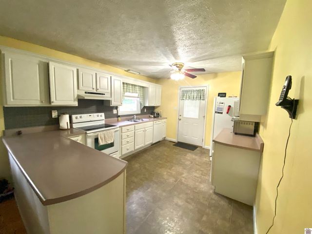 156 Heather Ln, Ledbetter, KY 42058