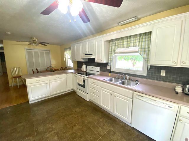 156 Heather Ln, Ledbetter, KY 42058