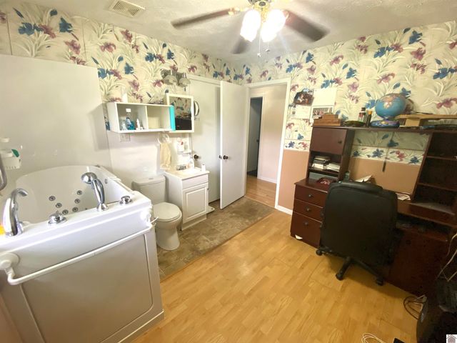 156 Heather Ln, Ledbetter, KY 42058